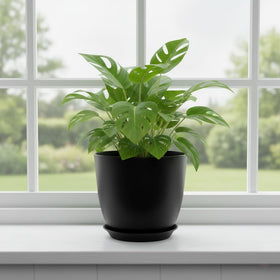 Vanslogreen 8-inch pots fit Monstera, Snake Plant, and more.