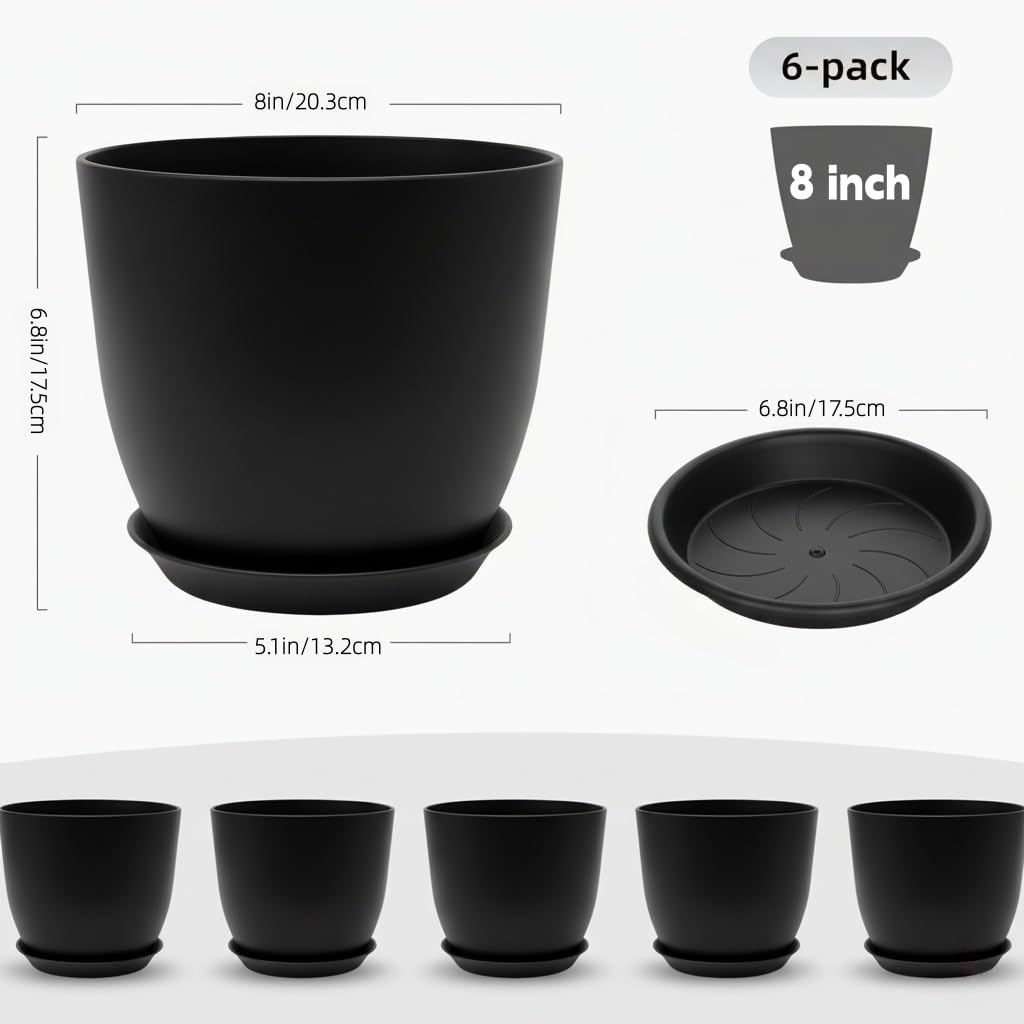 Vanslogreen pot with saucer catches excess water, protecting floors.