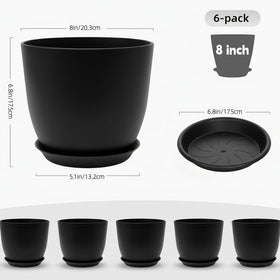 Vanslogreen pot with saucer catches excess water, protecting floors.