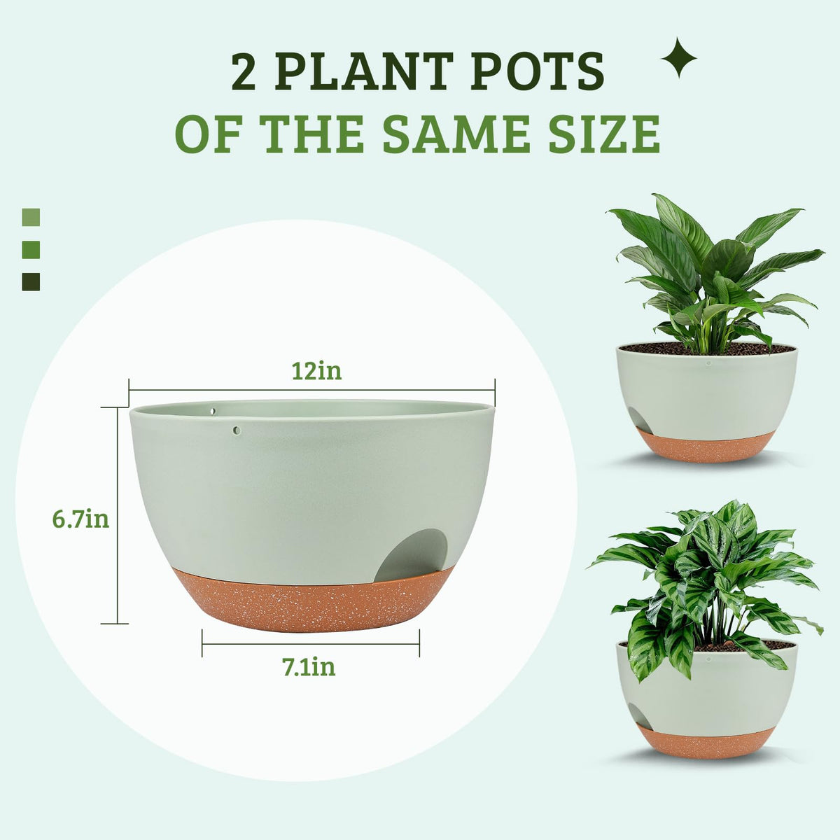 Vanslogreen saucer reservoir keeps soil hydrated with less frequent watering.