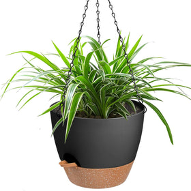 Vanslogreen self-watering hanging planter 12-inch black keeps soil moist for healthy roots.