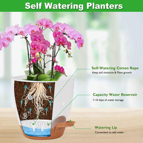 Vanslogreen self watering orchid pot with reservoir for extended moisture.