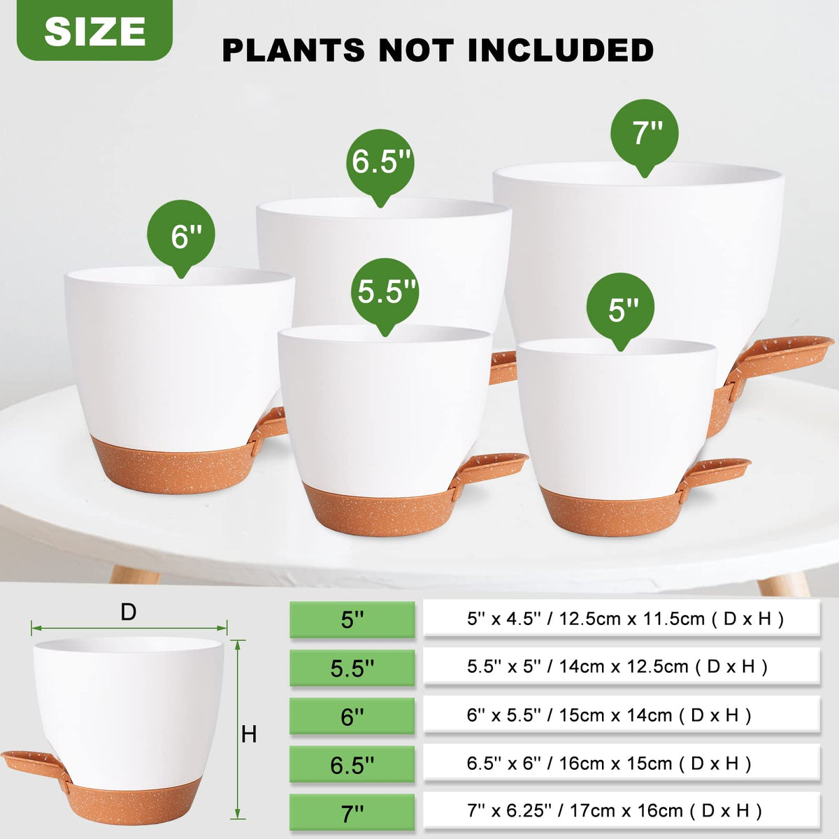 Vanslogreen self-watering pot 5.5-inch white ideal for succulents