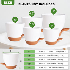 Vanslogreen self-watering pot 5.5-inch white ideal for succulents