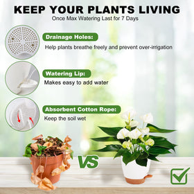Vanslogreen self-watering pot 6.5-inch white shown for compact herb displays
