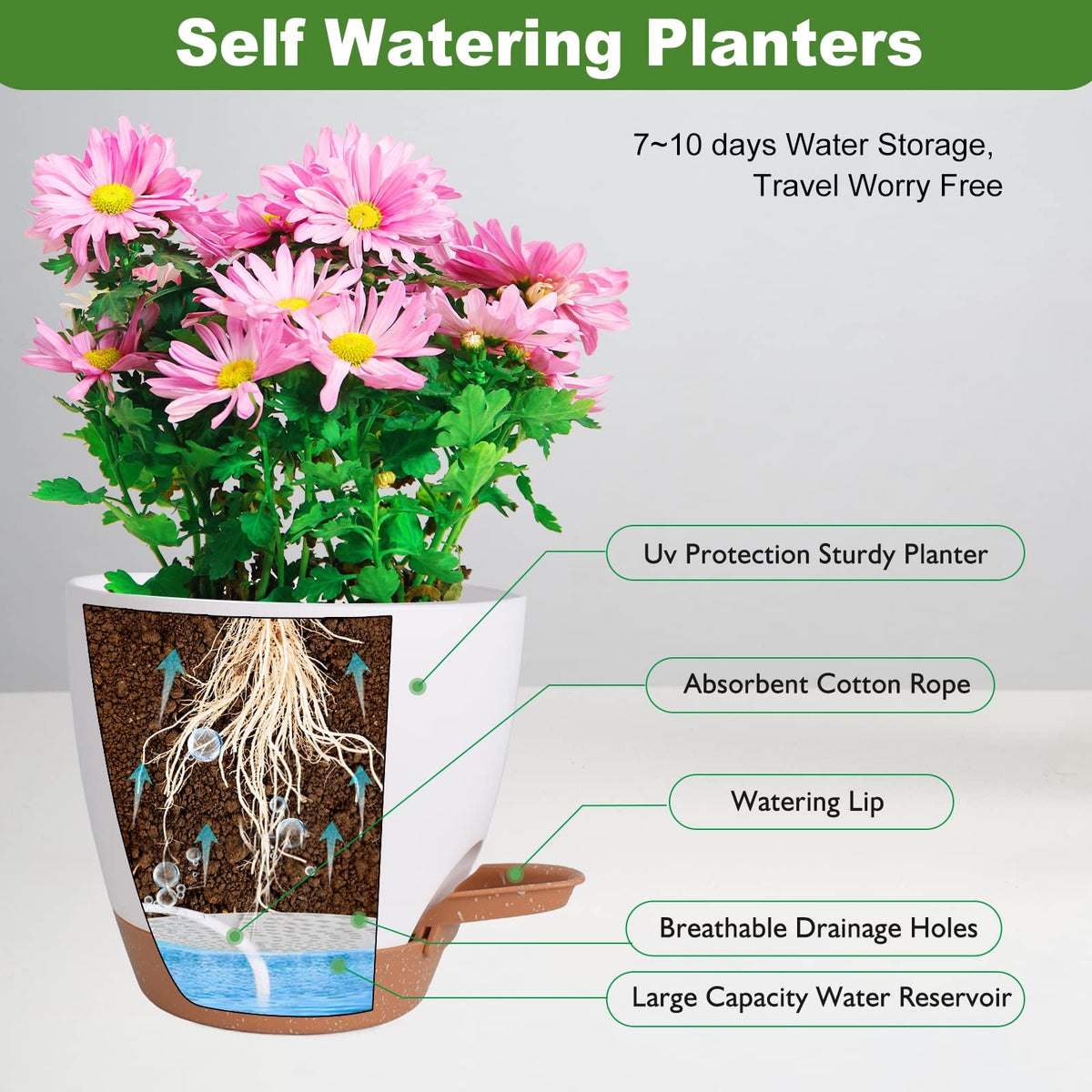 Vanslogreen self-watering pot 6-inch white suitable for small plants