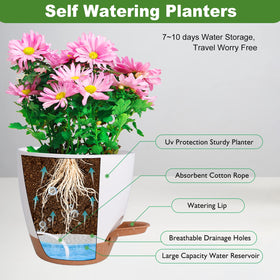 Vanslogreen self-watering pot 6-inch white suitable for small plants
