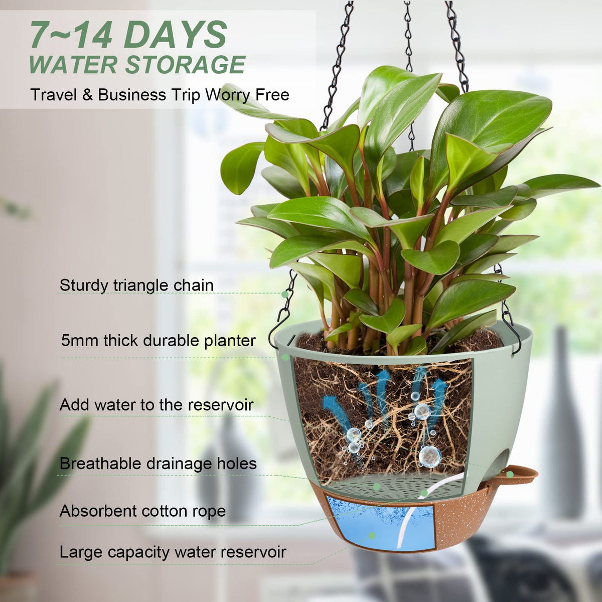 Vanslogreen self-watering system keeps soil moist between fills.