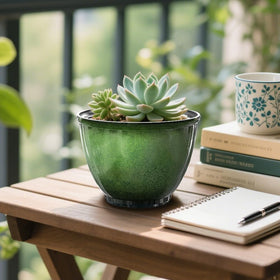 Vanslogreen snake plant pot with a modern design to elevate spaces.