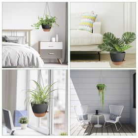 Vanslogreen vertical space-saving planter showcases plants in tight spaces.