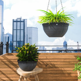 Vanslogreen table-ready hanging planter with removable chain for display.