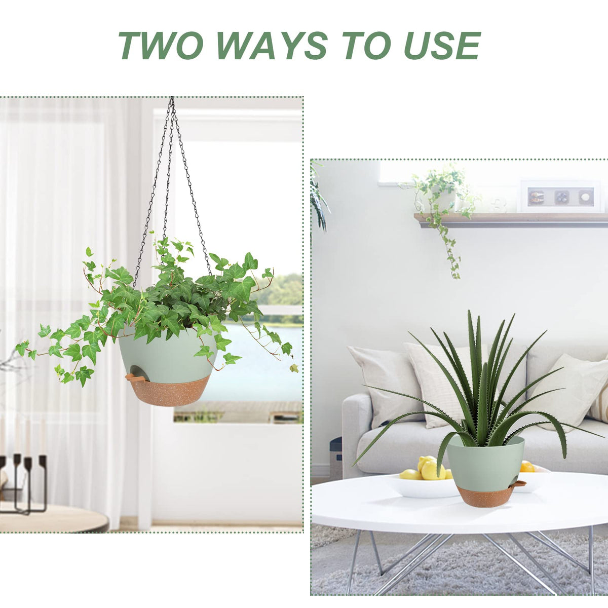 Vanslogreen thick plastic walls withstand outdoor use while saving space.