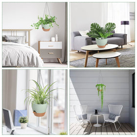 Vanslogreen two-pack hanging planters set for multiple plant arrangements.