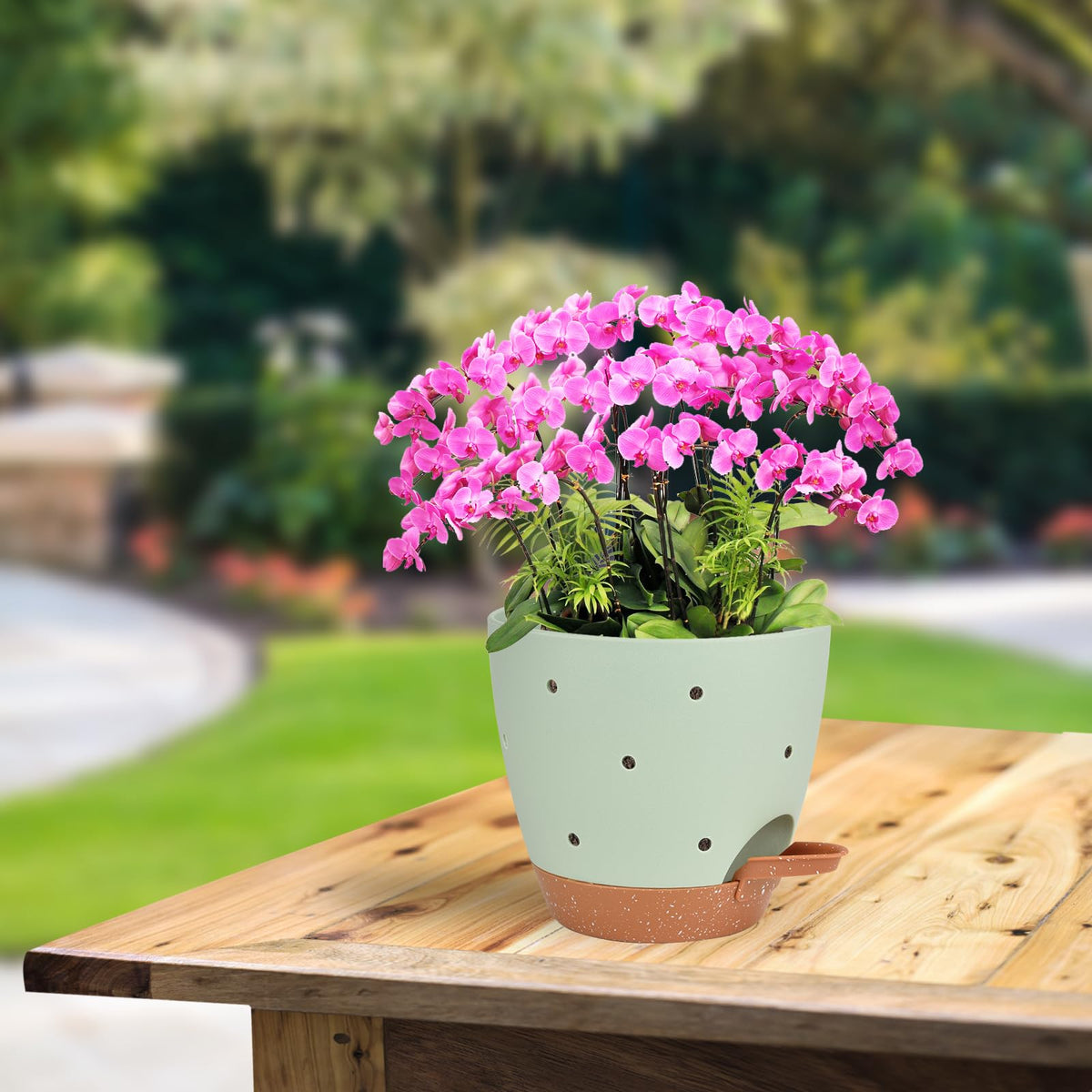 Vanslogreen versatile pots suitable for orchids and other small plants.