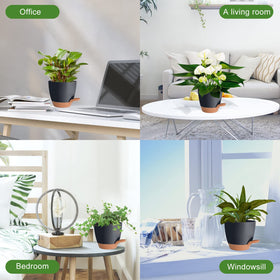 Vanslogreen planters suitable for indoor and outdoor spaces.