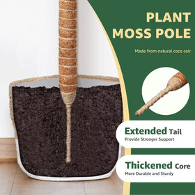 Vanut moss pole bendable design forms arch or spiral shapes for decorative climbs