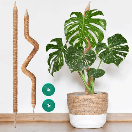 Vanut 2-pack 28in moss pole bendable coir supports Monstera for upright growth