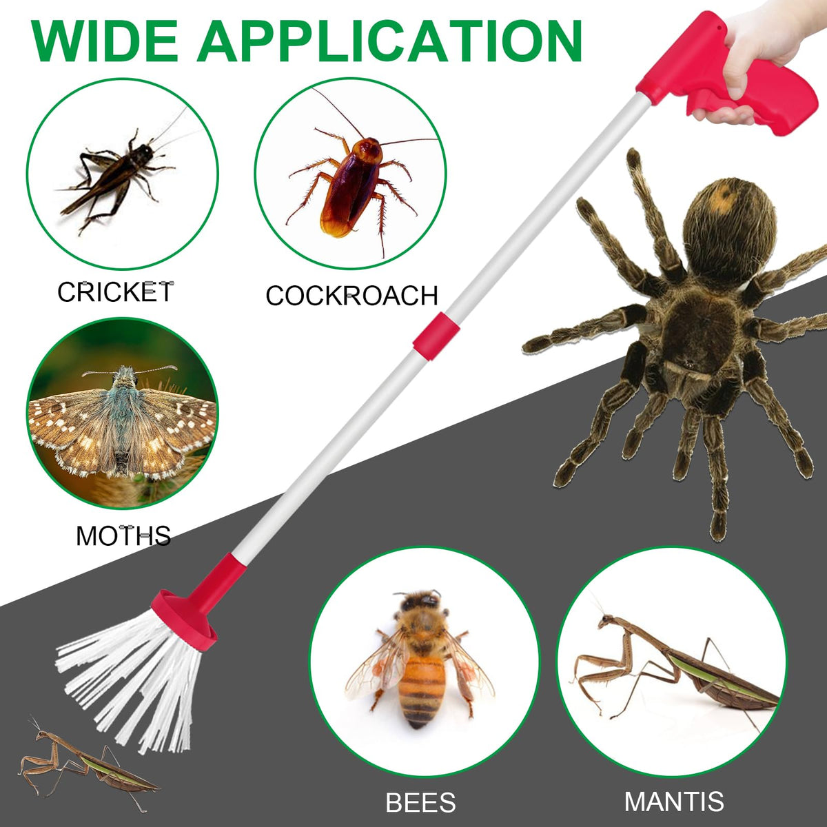 Vanwoke spider catcher folded storage shows compact, space-saving design.