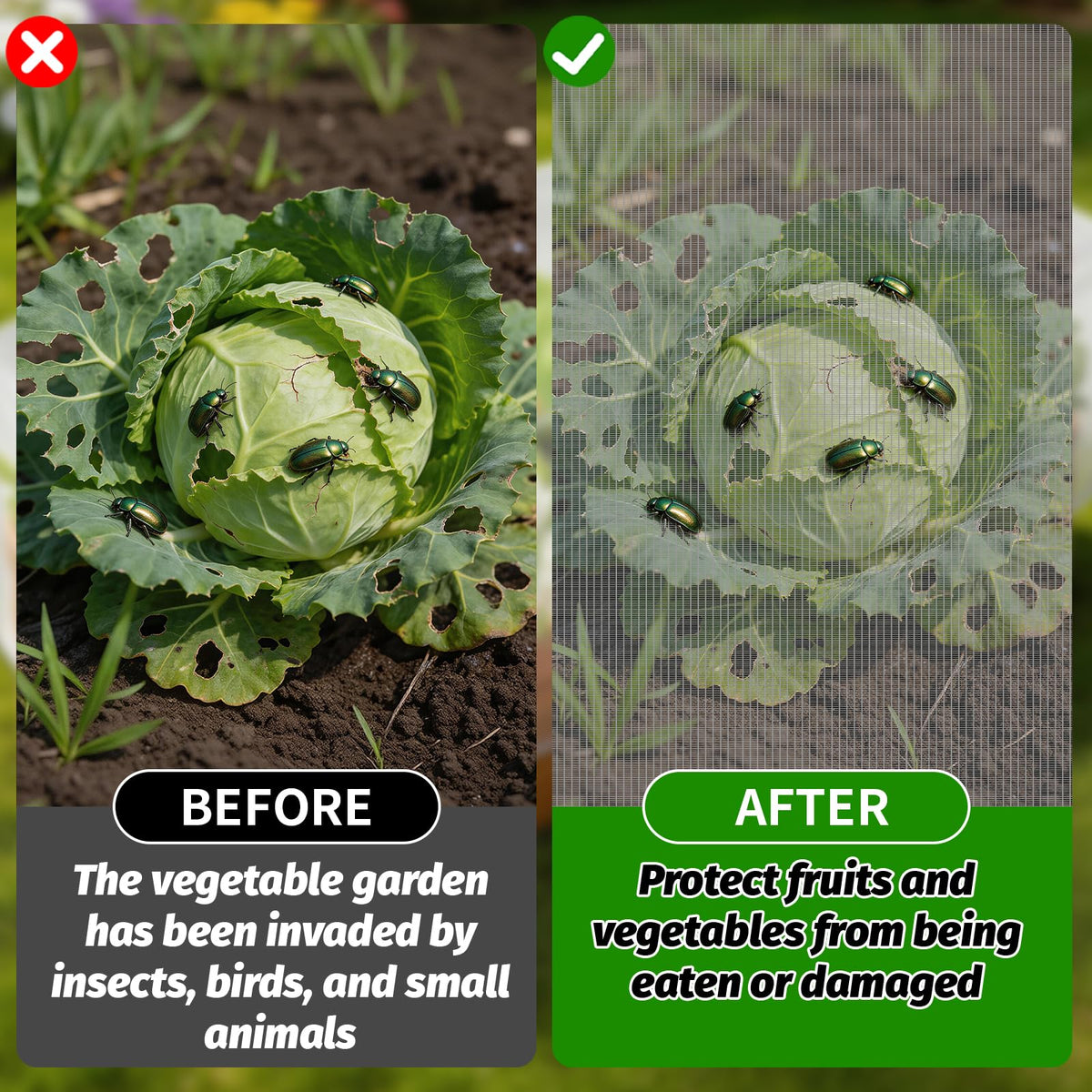 Varrisin 4-pack netting protects raised beds from squirrels and insects