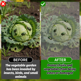 Varrisin 4-pack netting protects raised beds from squirrels and insects