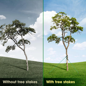 VASGOR complete staking kit ready for simple DIY staking projects