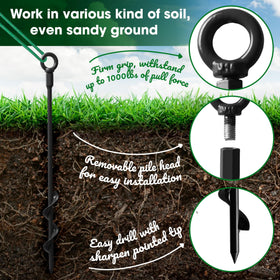 VASGOR staking kit in garden supports saplings during growth