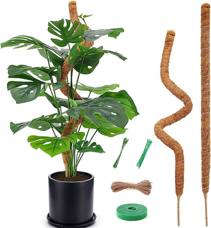 Vastcury bendable moss pole in heart shape supports Monstera climbing growth