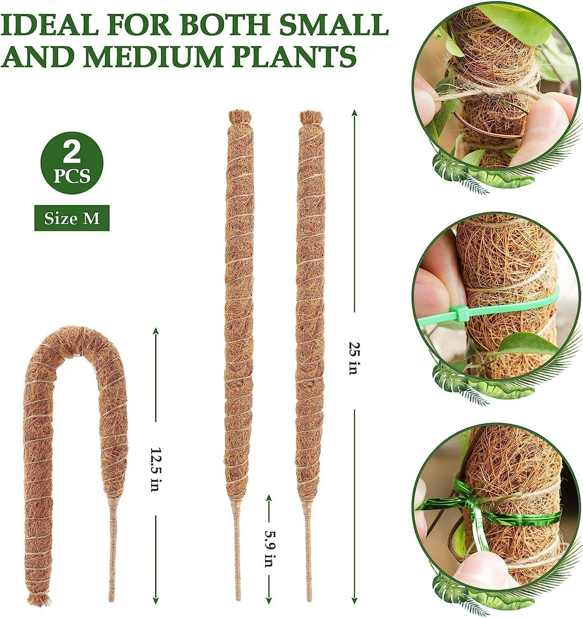 Vastcury handmade coco coir plant support offers durable indoor growth