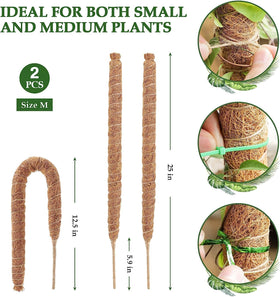 Vastcury handmade coco coir plant support offers durable indoor growth