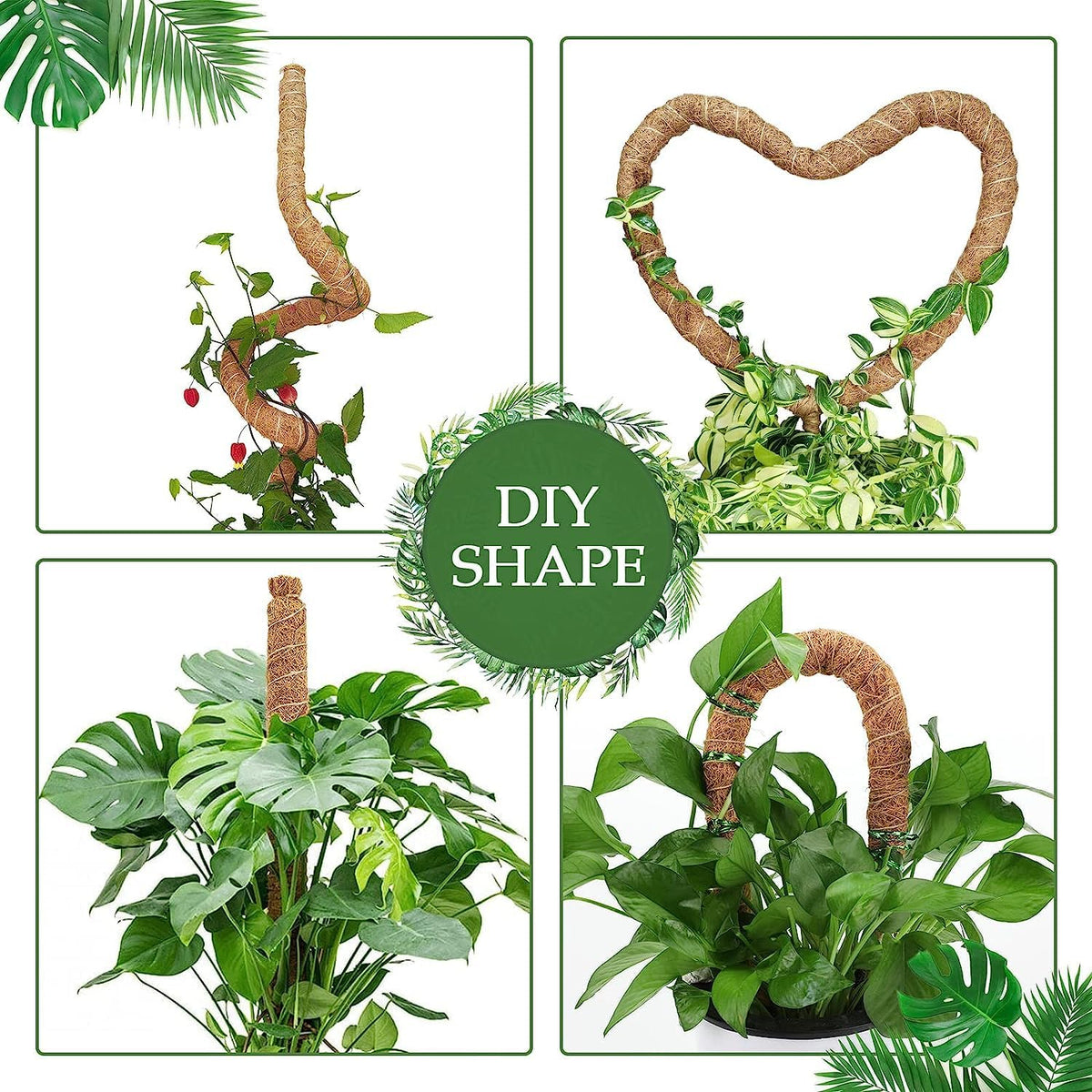 Vastcury moss pole for indoor climbing plants guiding growth toward light
