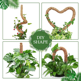 Vastcury moss pole for indoor climbing plants guiding growth toward light