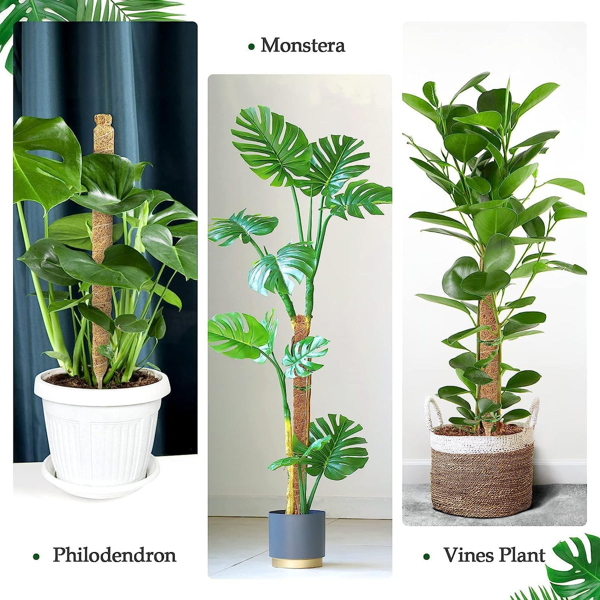 Vastcury plant poles with included attachments for quick setup