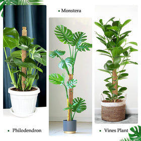 Vastcury plant poles with included attachments for quick setup