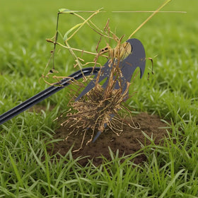 VBQFDPH 2-pack weed pullers ideal for shared tasks or multi-area gardening.