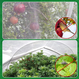 VBWSL garden netting protects fruit trees and vegetables from birds.