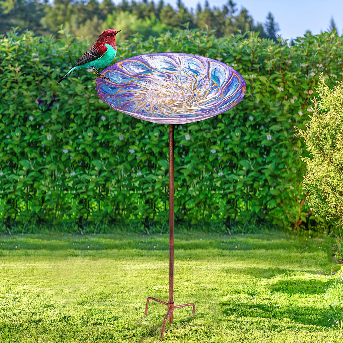 VCUTEKA bird bath used with water or feed to invite visitors.