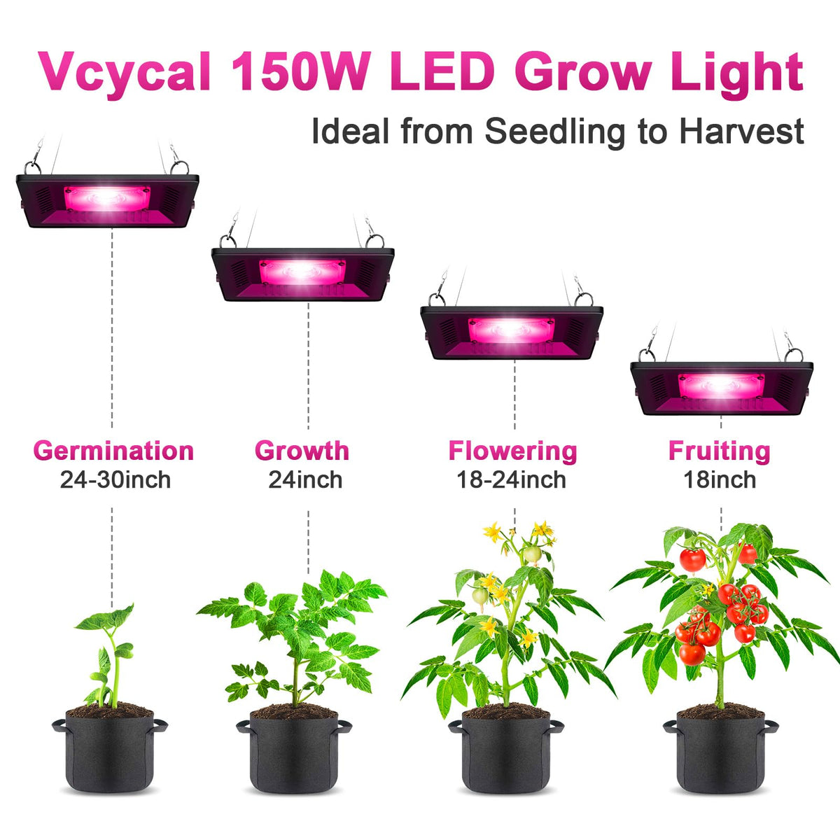 Vcycal full-spectrum LED diodes provide balanced spectrum for all stages