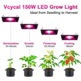 Vcycal full-spectrum LED diodes provide balanced spectrum for all stages
