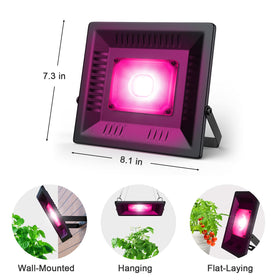 Vcycal seedling under light promotes strong early growth