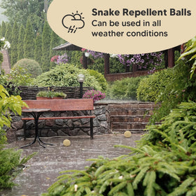 VDKOGSX natural repellent protects gardens while remaining pet-friendly