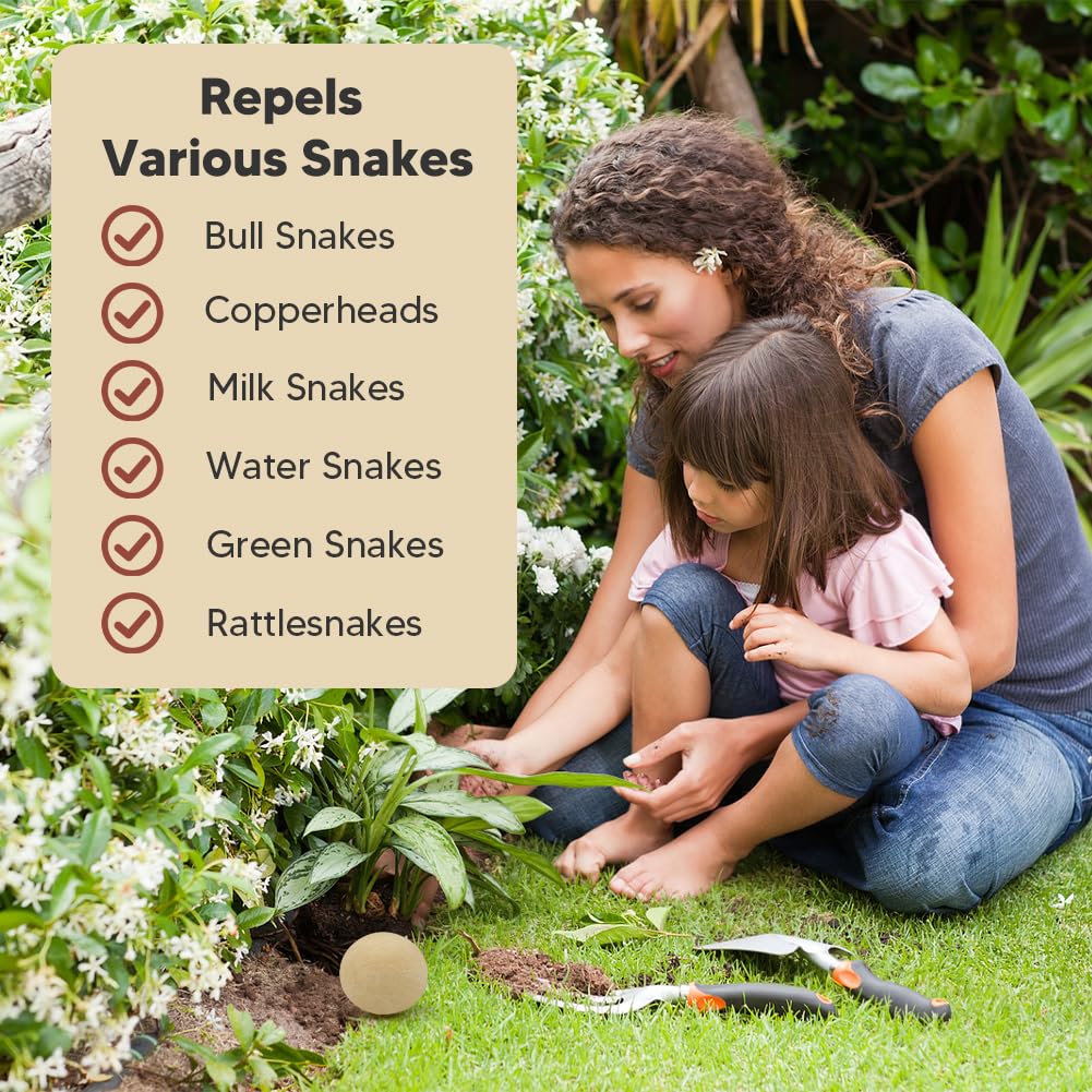VDKOGSX pack with eight balls supports family-safe garden protection