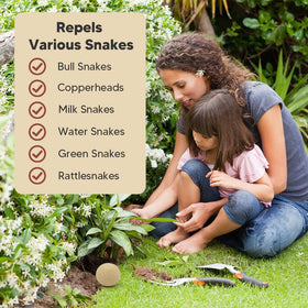 VDKOGSX pack with eight balls supports family-safe garden protection