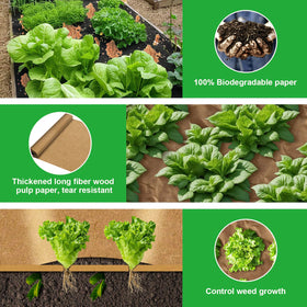 Vecacosic permeable design lets water and air move through for healthier roots.