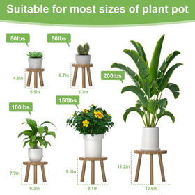 Vecxoty mid-century plant stool highlights stylish angles for living room decor.