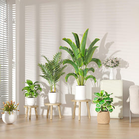Vecxoty stand collection 6-12 inch pots organizes small and large plants neatly.