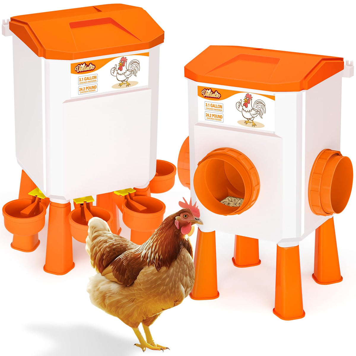 Vedalio chicken waterer with 3-1-gallon capacity keeps flock hydrated.