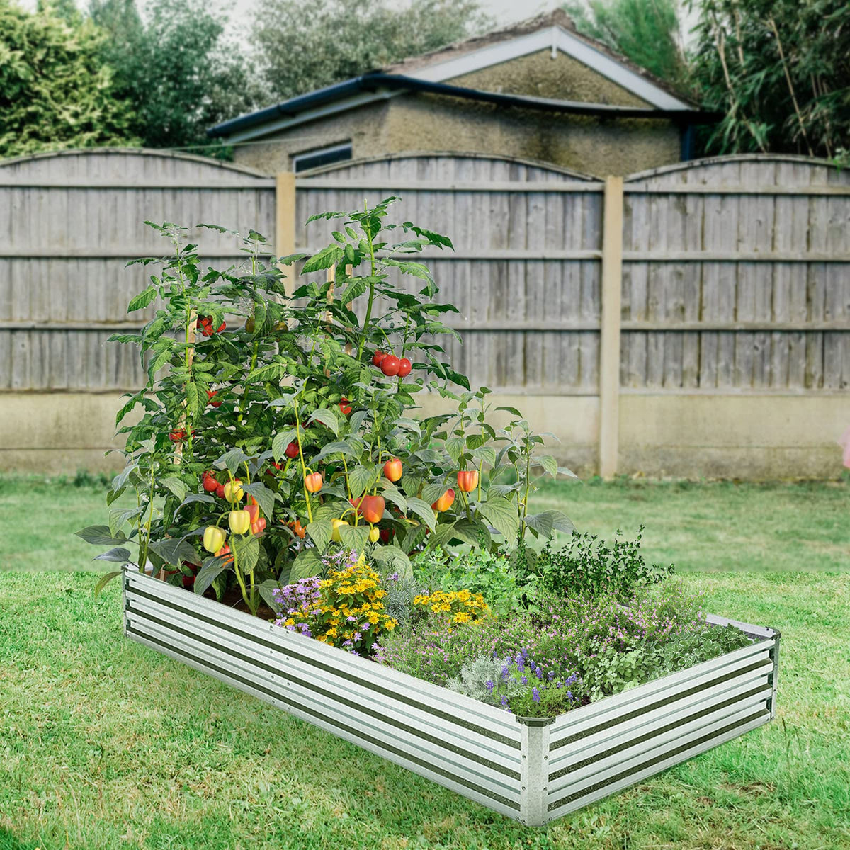 Veezyo large planting space invites flowers, vegetables, and herbs to thrive.