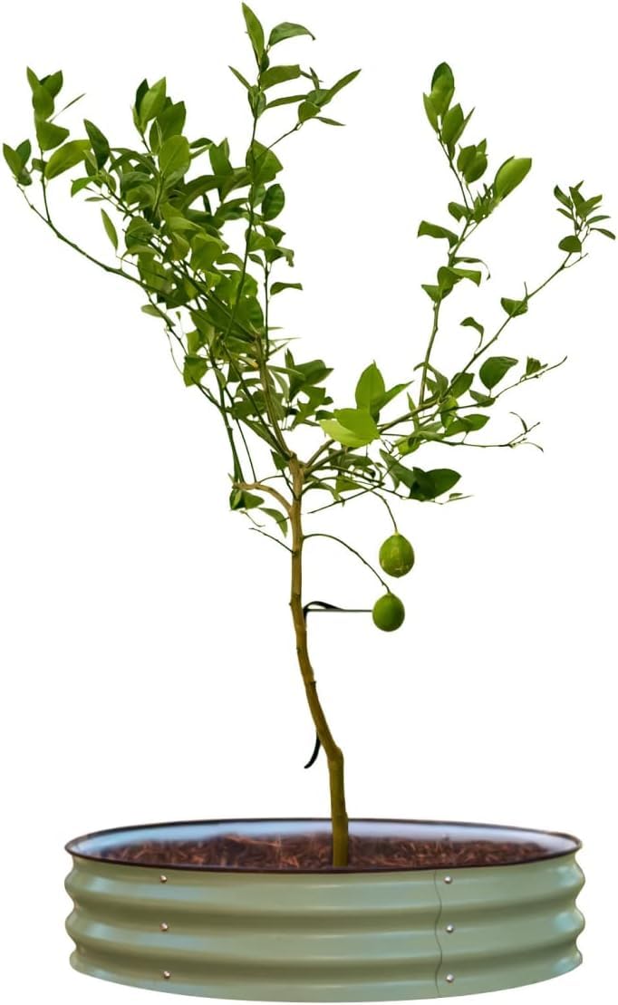 Vego Garden two-pack tree watering ring set for multiple trees.