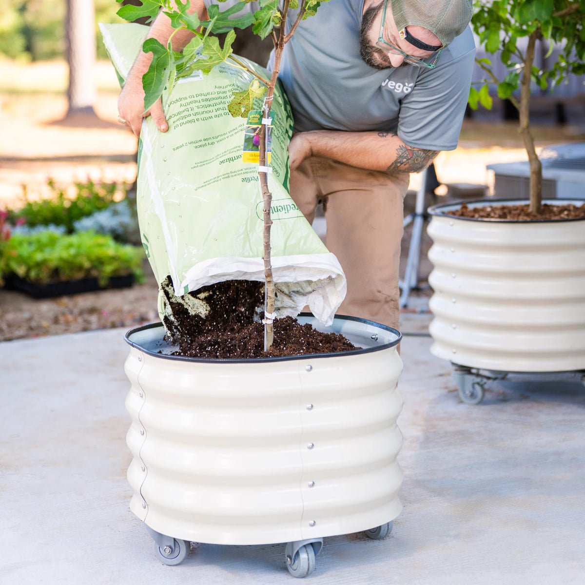 Vego Garden compatible with dwarf trees and patio shrubs.
