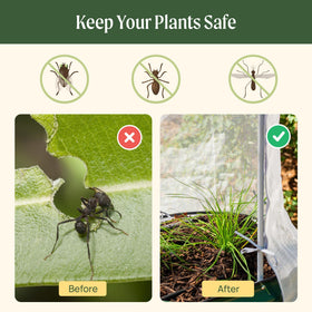Vego Garden 65 percent light transmittance supports healthy photosynthesis